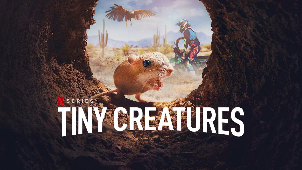 مسلسل Tiny Creatures مترجم